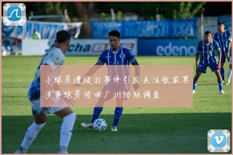 小球员遭殴打事件引发关注张家界涉事球员将回广州协助调查